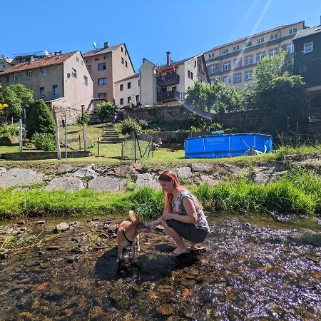 Ferienwohnung Urlaubstraum mit Pool, Terrasse&Fluss im Garten - UT Sebnitz Exterior foto
