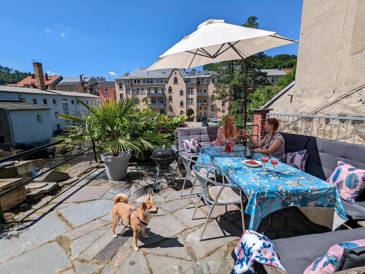 Ferienwohnung Urlaubstraum mit Pool, Terrasse&Fluss im Garten - UT Sebnitz Exterior foto