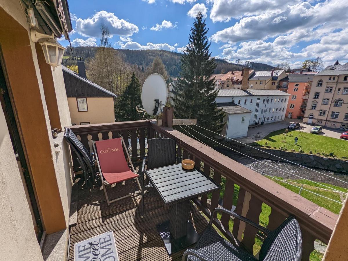 Ferienwohnung Urlaubstraum mit Pool, Terrasse&Fluss im Garten - UT Sebnitz Exterior foto